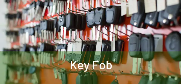  Key Fob 
